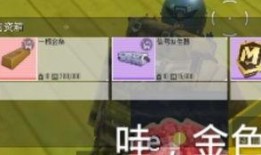 地铁逃生先行服最新爆料,揭秘最新爆料，守护生命安全的新利器