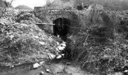 城固县污染爆料案件最新