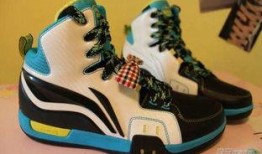 最新爆料球鞋图片大全,款款经典，你get了吗？